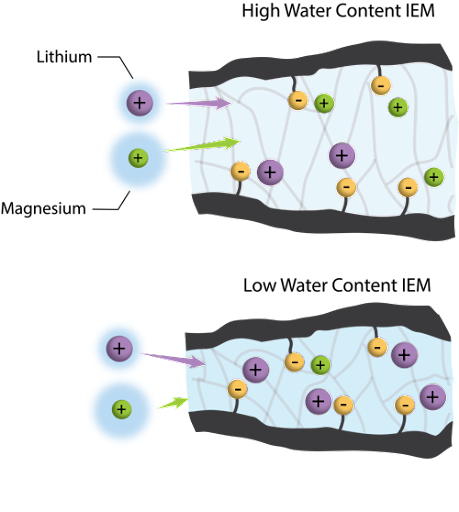 Anticipated differences in ion ion selectivity in varying water content membranes