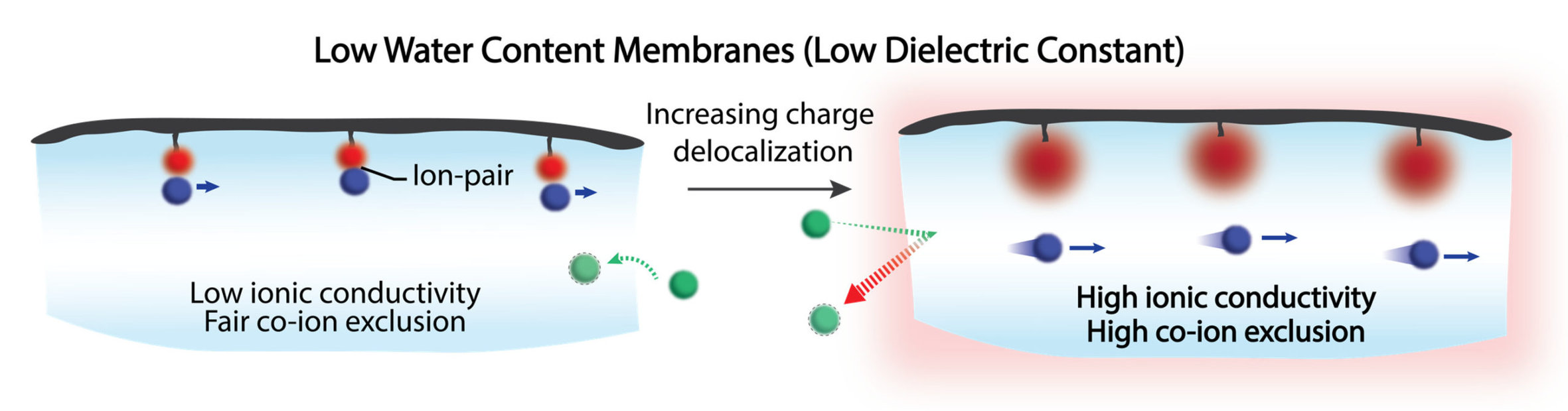 A representative schematic of Kamcev's Project.