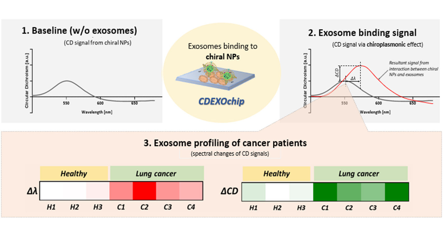 Forbes Institute for Cancer Discovery visual summary